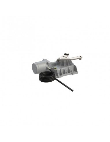 Moteur BR21, enterré Brushless 36V avec cable 10m