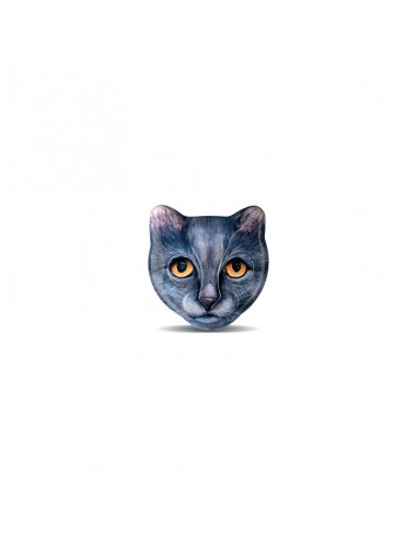 Emetteur Zoolock Avatar le chat