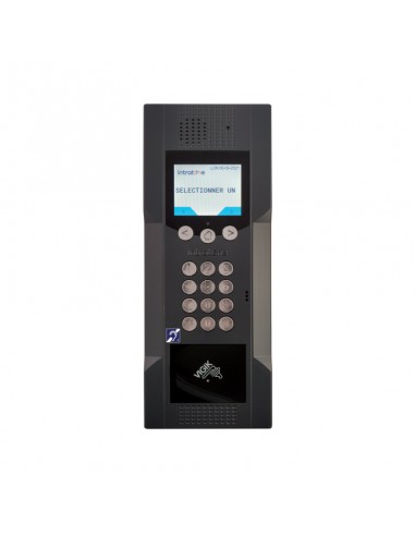 Pack kit Intracode visio 1000noms avec centrale de gestion 2 portes pose en saillie Gris antracite