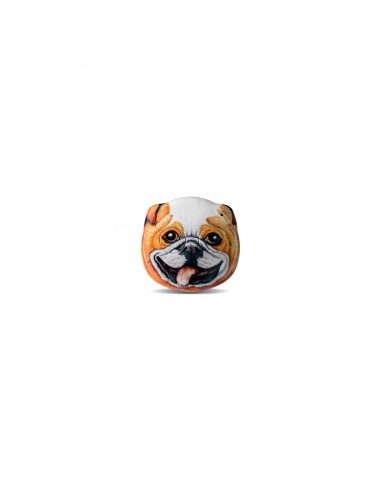 Emetteur Zoolock Freddy le chien