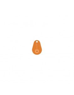 Badge porte clé 125Khz pour clavier/lecteur 