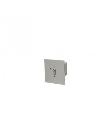 Selecteur marche arrêt encastré REF 019.1202,10