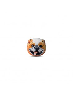Emetteur Zoolock Freddy le chien